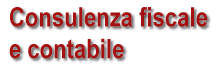 Consulenza fiscale e contabile